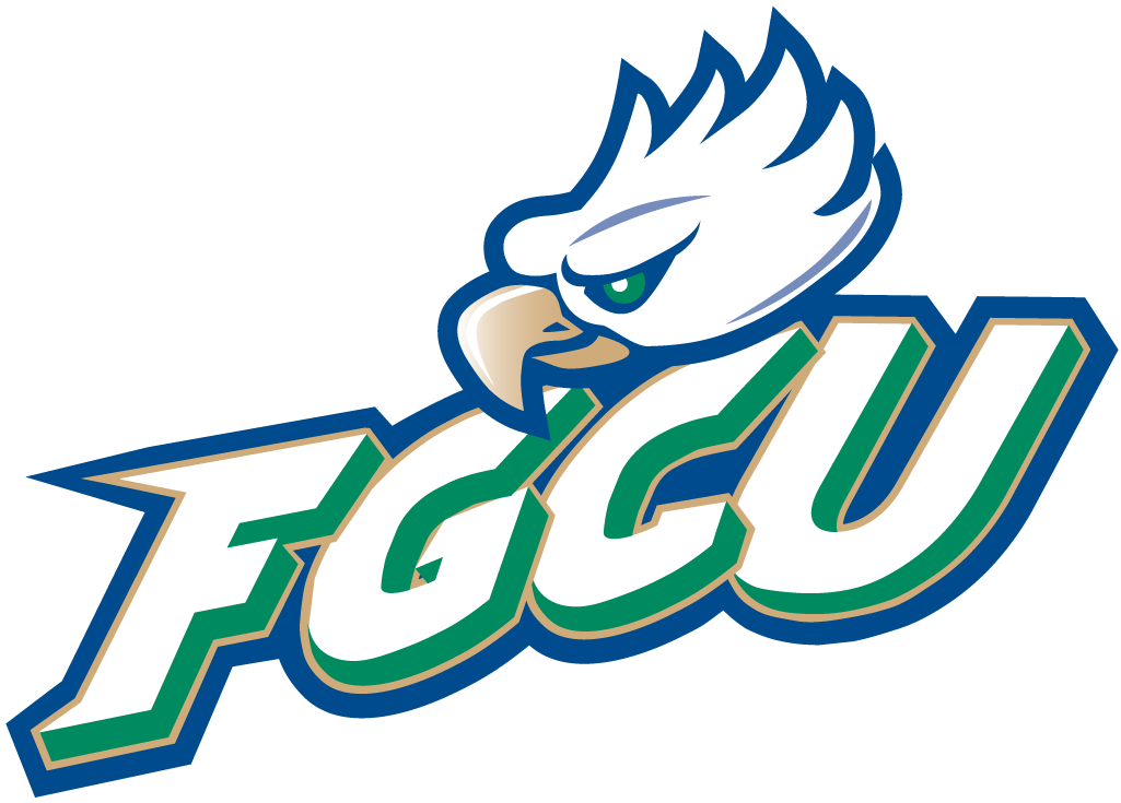 Florida Gulf Coast Eagles 2002-Pres Primary Logo iron on transfers for clothing